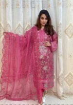Original Pakistani Organza 4PCS Dress - Image 3